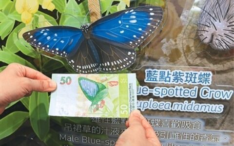 “方寸”舞翩跹